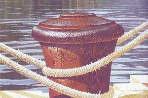 Izložba "Okom Tivćana": Fotografije u galeriji "Buća-Luković"