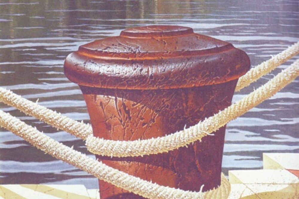 Okom Tivćana (Novina)