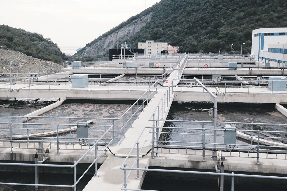 Možur, Foto: Vuk Lajović