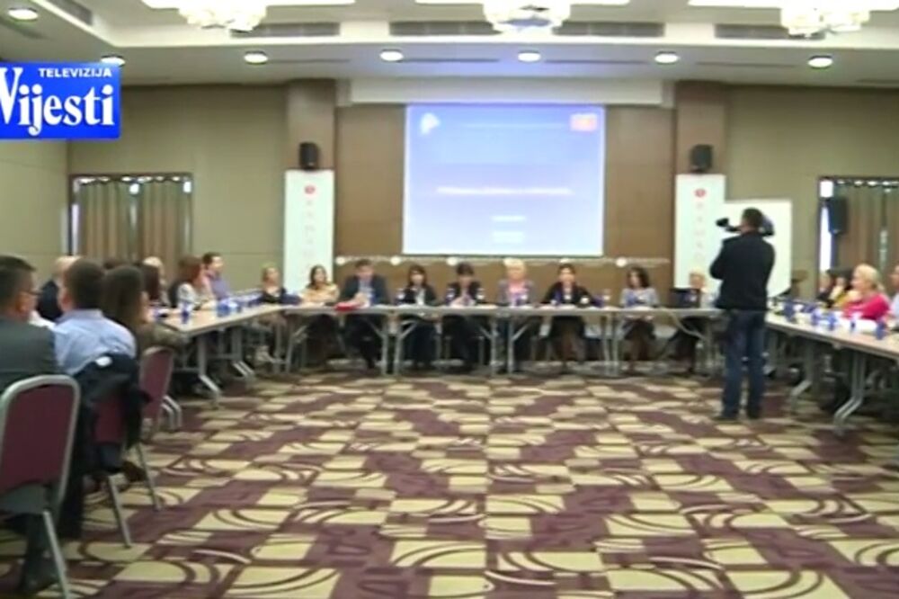 TV Vijesti, Zakon o strancima, Foto: Screenshot (TV Vijesti)