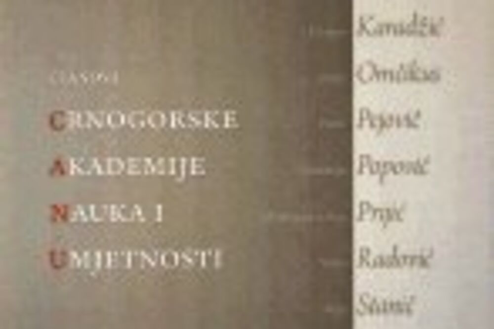 Likovne poetike CANU (Novina)