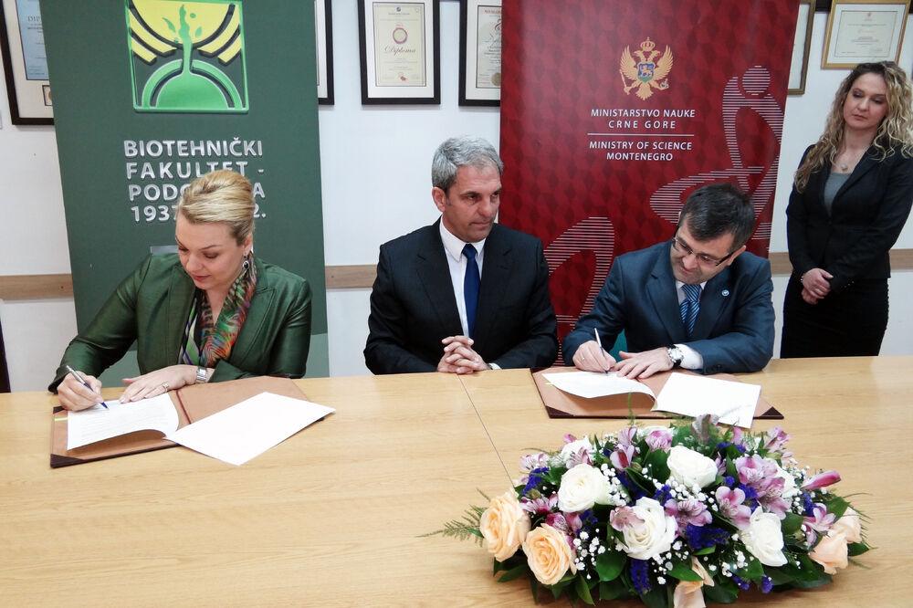 Sanja Vlahović, Manolina Bašović, Adis Balota., Foto: Vlada Crne Gore