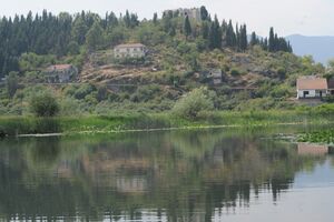 U Crnoj Gori identifikovano 27 važnih biljnih staništa