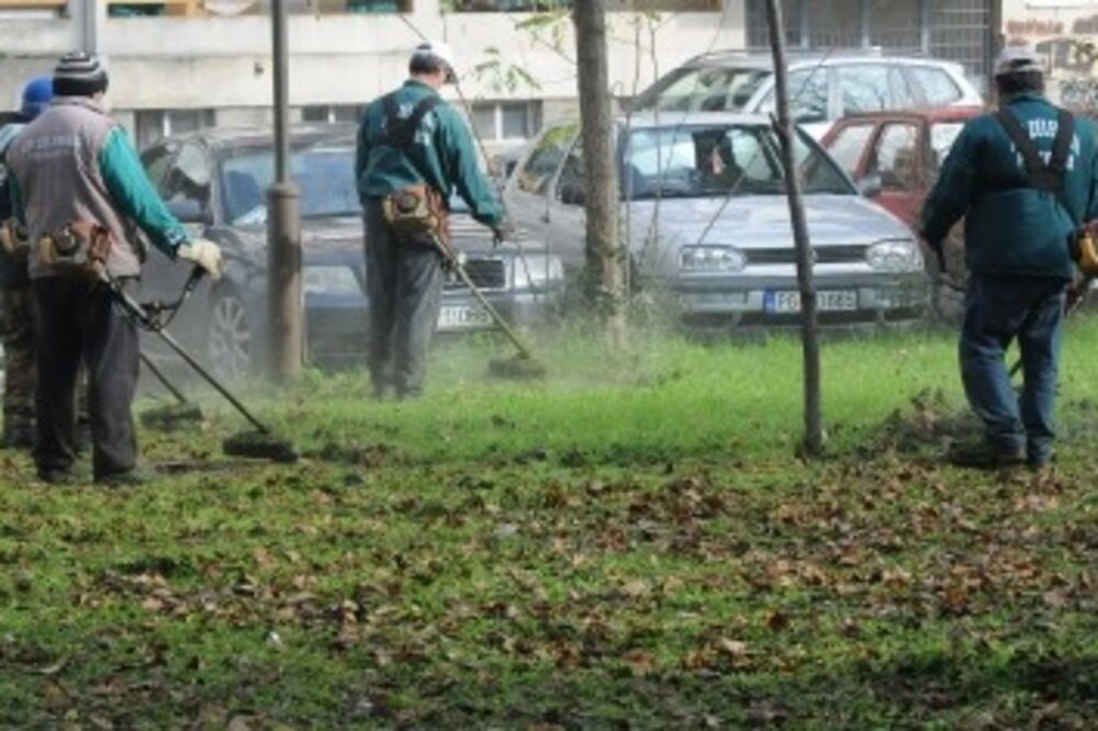 zeleniloo_1, Foto: L.ZEKOVIĆ