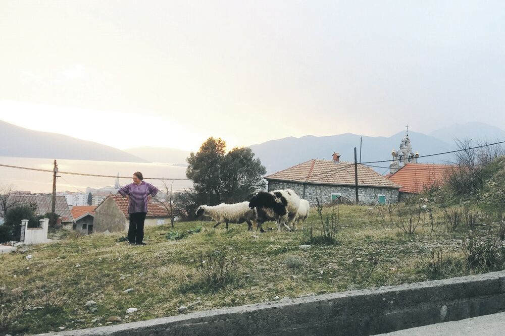 Tivat, Foto: Siniša Luković