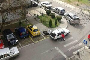 Lovci zvali inspektora tek pošto su medvjeda dopremili na trotoar