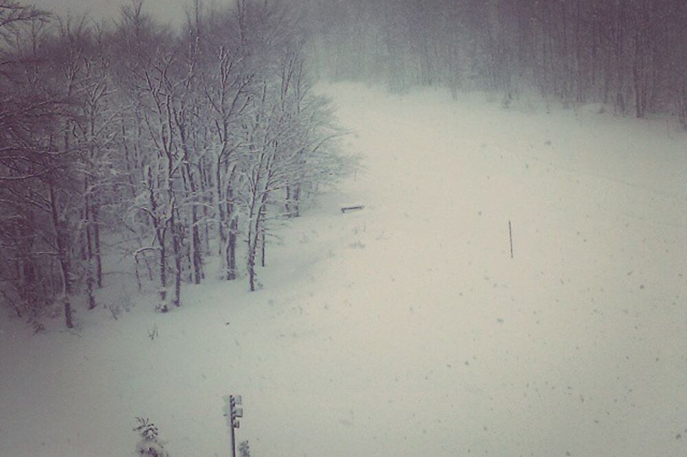 Ski centar Vučje, Foto: Ski centar Vučje