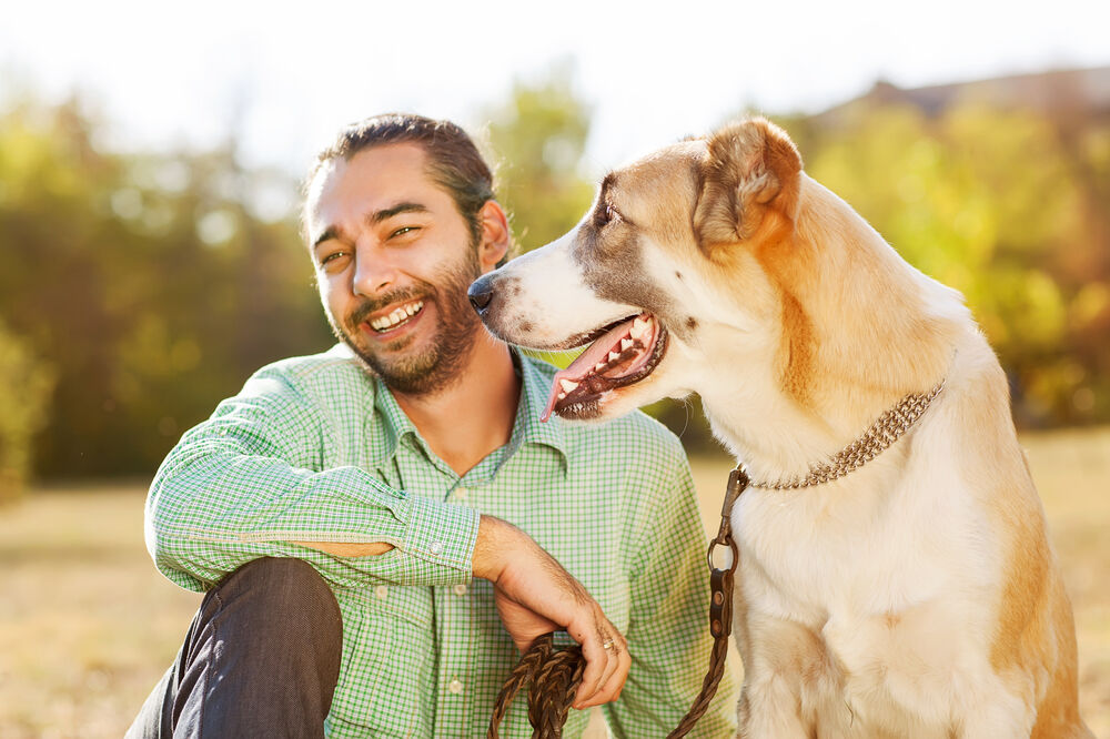 kućni ljubimac, pas i muškarac, Foto: Shutterstock