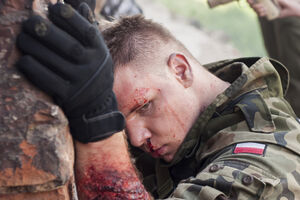 Poljski vojnik tuži vojsku: Pričali mu da je sposoban za službu, a...