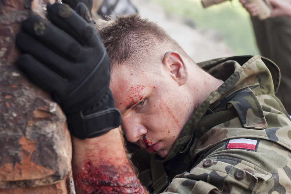 Poljska, vojnik, Foto: Shutterstock