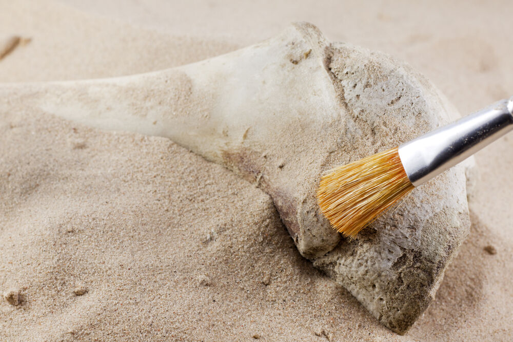 arheologija, Foto: Shutterstock.com