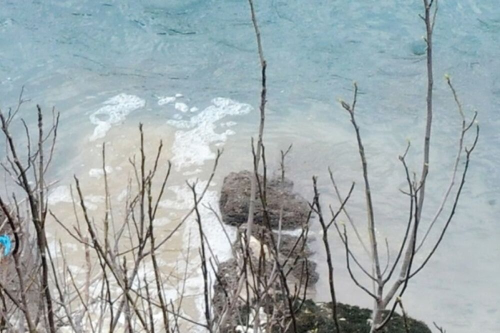 Morača, fekalije, Foto: Luka Zeković