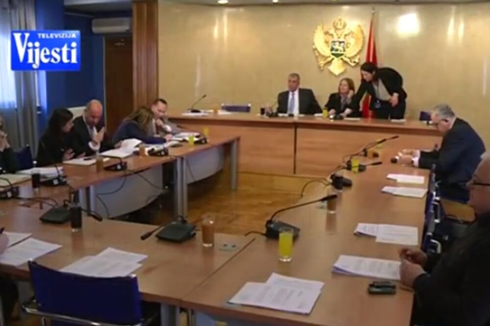 Odbor za zdravstvo, Foto: Screenshot(TvVijesti)