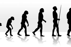 Zaustavimo gojaznost