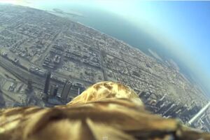 Snimak koji oduzima dah: Ovako izgleda let sa najviše zgrade na...