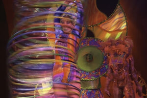 Dajem otkaz, odlazim sa cirkusom!