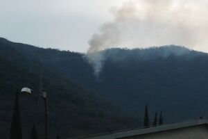 Tivat: Ugašen šumski požar iznad Lepetana