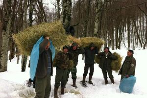 Renedžeri će pratiti košute i jelene uz Taru