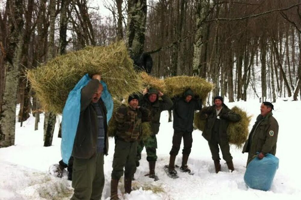 sijeno, košute, Foto: NP Biogradska gora
