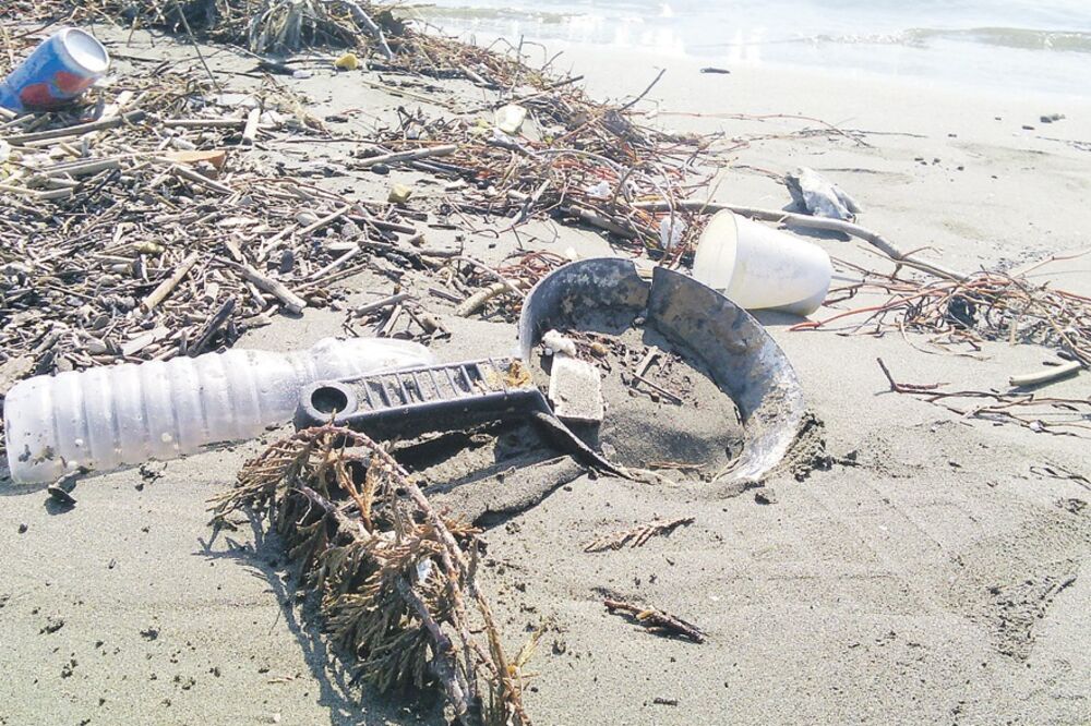 smeće Port Milena, Foto: Zeleni korak