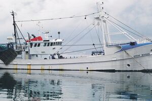 Joksimović: Flota mala i zastarjela, ulov ribe zanemarljiv