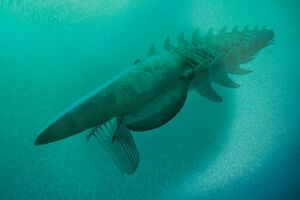 Naučnici otkrili morsko čudovište staro 480 miliona godina