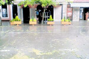 Prelević potpredsjednik, Ćeranić sekretar