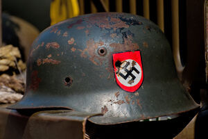 Nazis killed Germans for training