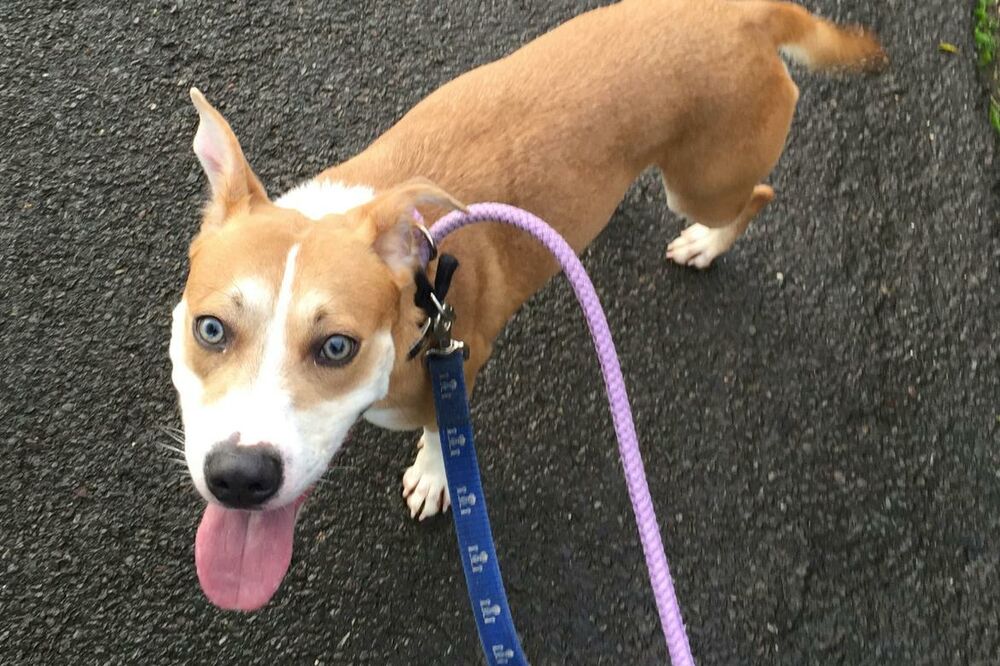 Walkzee, Foto: Walkzee