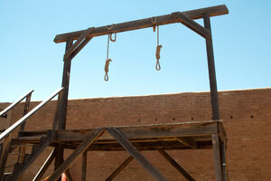 Pakistan: Obnovljeno izvršenje smrtih kazni, 24 vješanja od...