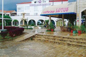 Vojka Tripković izvršni direktor Komercijalne banke Budva