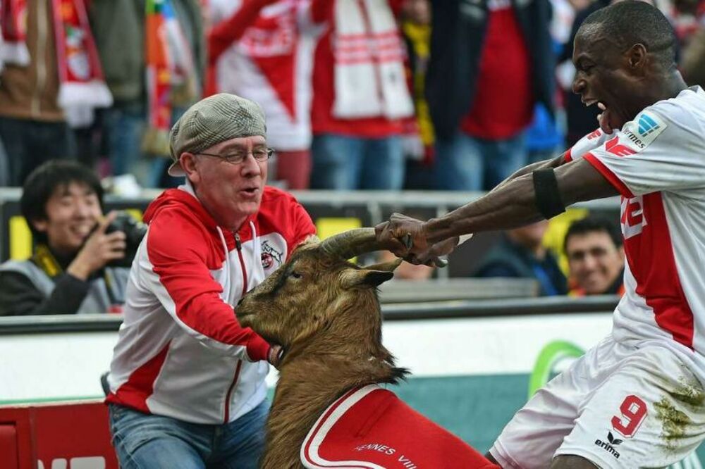 Entoni Udžah i jarac, Foto: Twitter