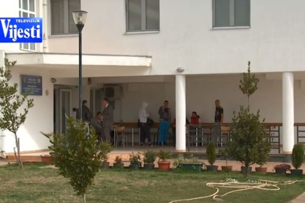 Kakaricka, Foto: Screenshot (YouTube)