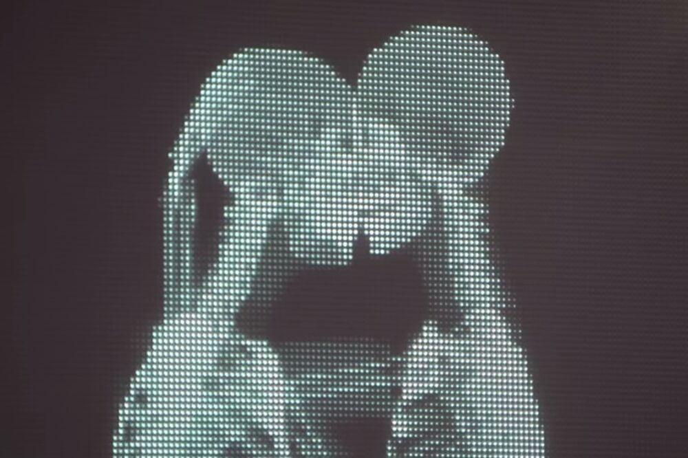 Skeleton, Foto: Screenshot (YouTube)