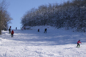 Narednog vikenda na Vučju prvi Snow dance festival