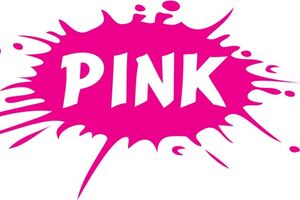 Promocija pod okriljem Vlade: Pinkove zvijezde su nasilnici,...