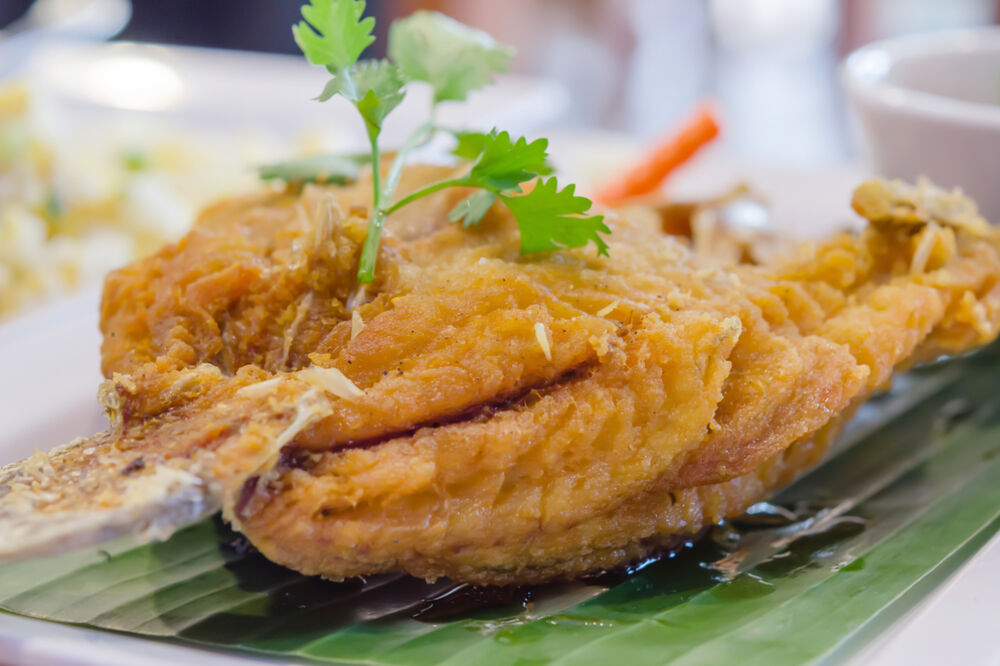 riba, Foto: Shutterstock.com