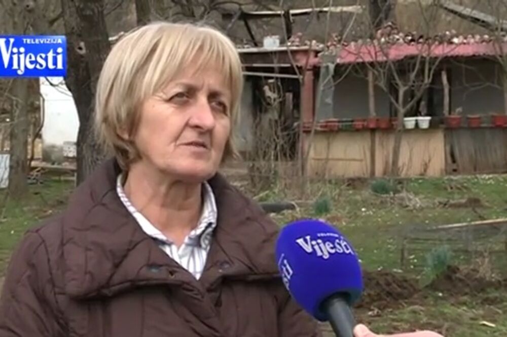 TV Vijesti, Vojislavka Vuković, Foto: Screenshot (TV Vijesti)