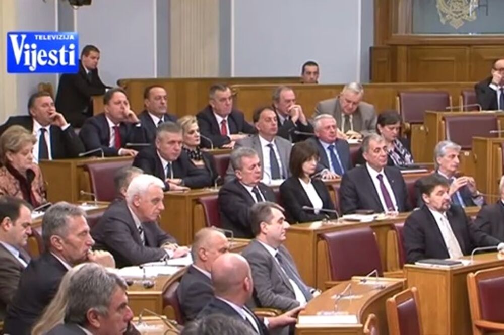 Skupština Crne Gore, Foto: Screenshot Tv Vijesti