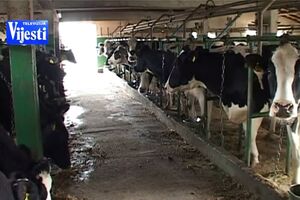 Veliko interesovanje Nikšićana za IPARD like program