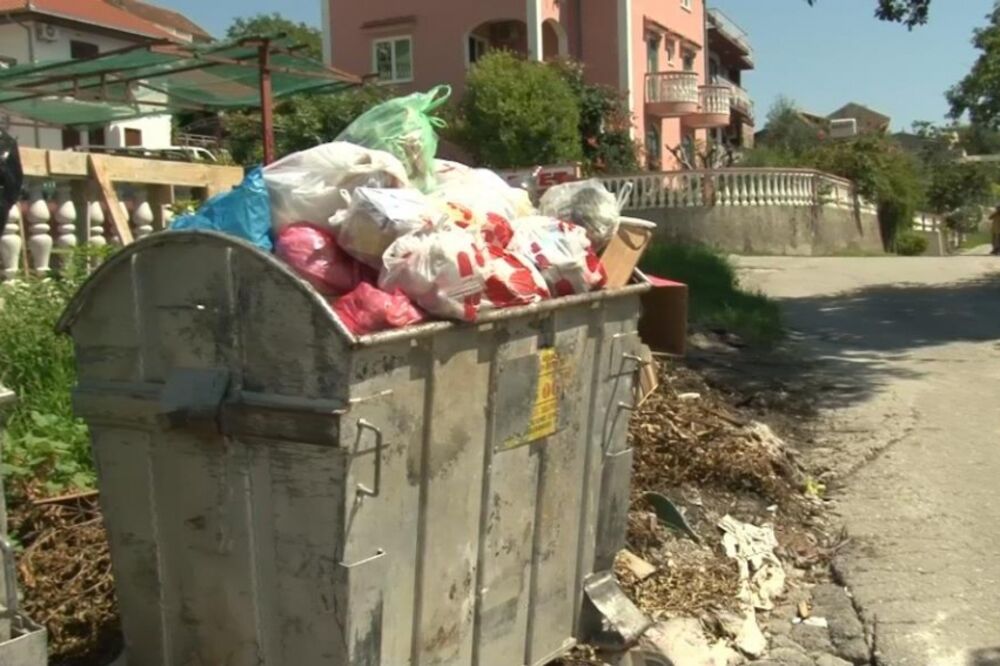 Drenovik, smeće, Foto: Slavica Kosić