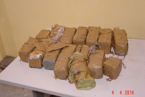 Braća Garić osuđena zbog 10 kilograma skanka