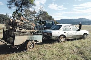 Prodajem povoljno borovinu sa Ćemovskog