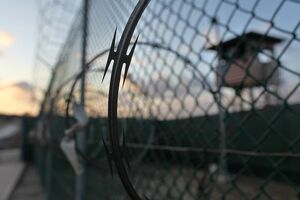 Zatvorenici iz Gvantanama - biljke