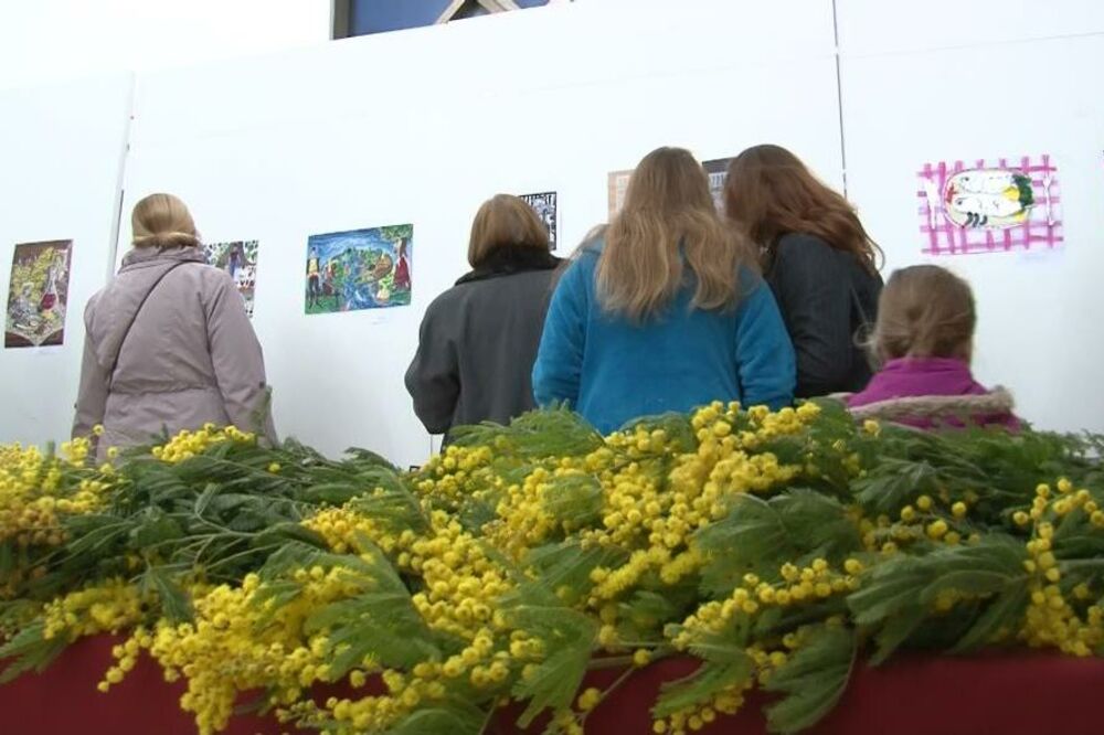 izložba, Herceg Novi, Foto: Slavica Kosić