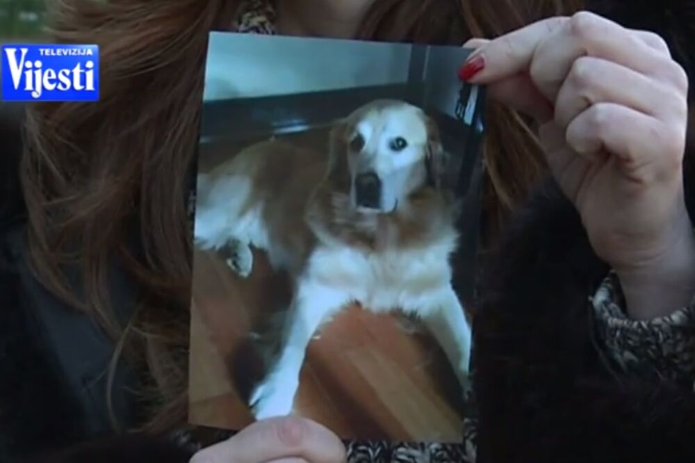 Snežana Ćosović, Foto: Screenshot (YouTube)