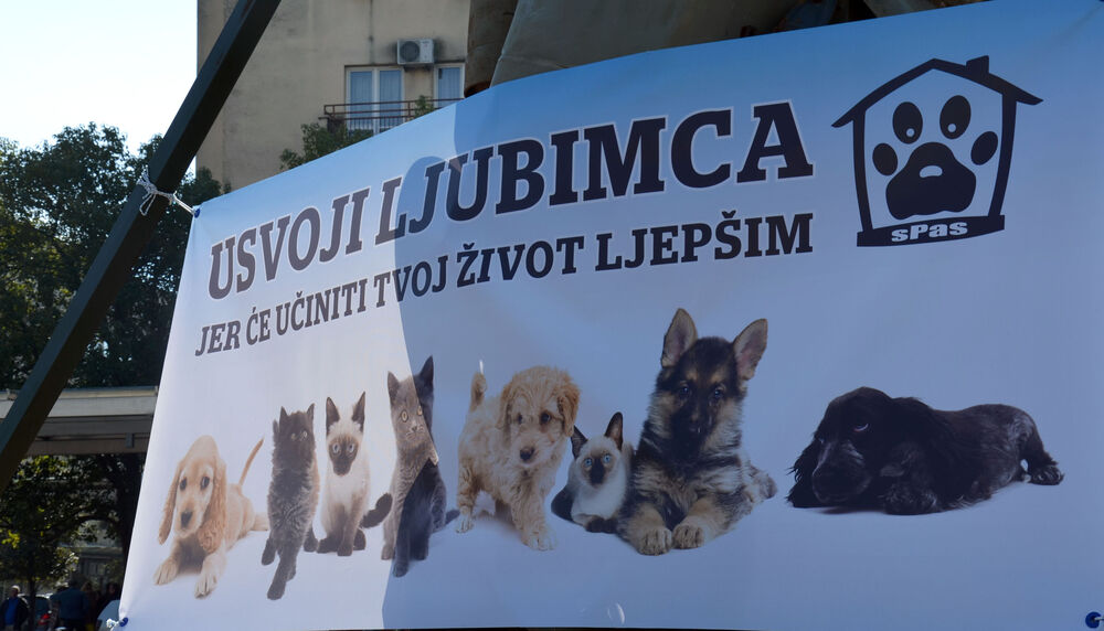 Akcija javnog udomljavanja