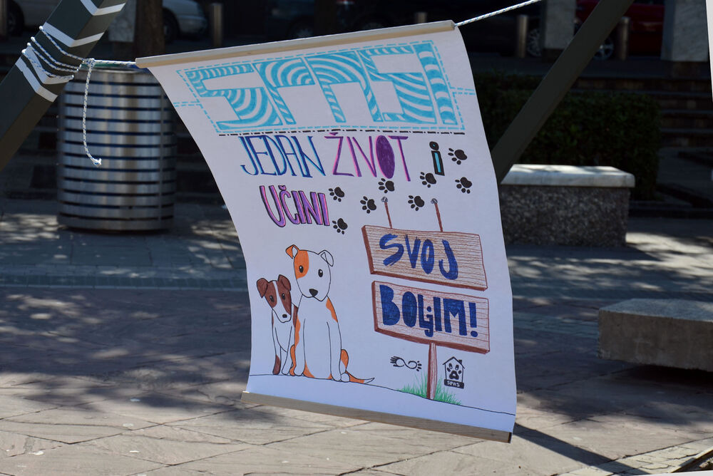 Akcija javnog udomljavanja