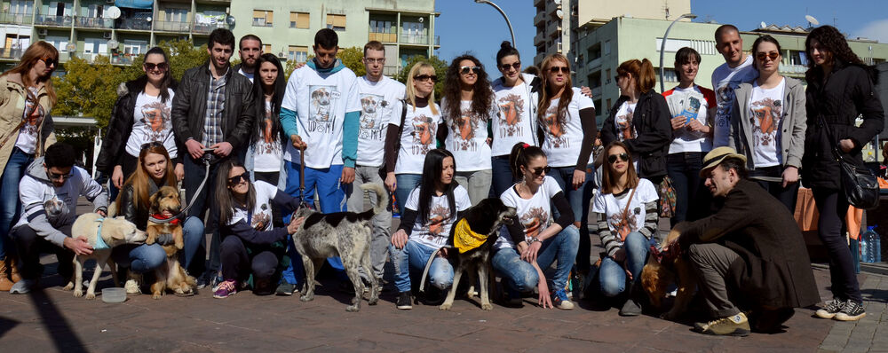 Akcija javnog udomljavanja