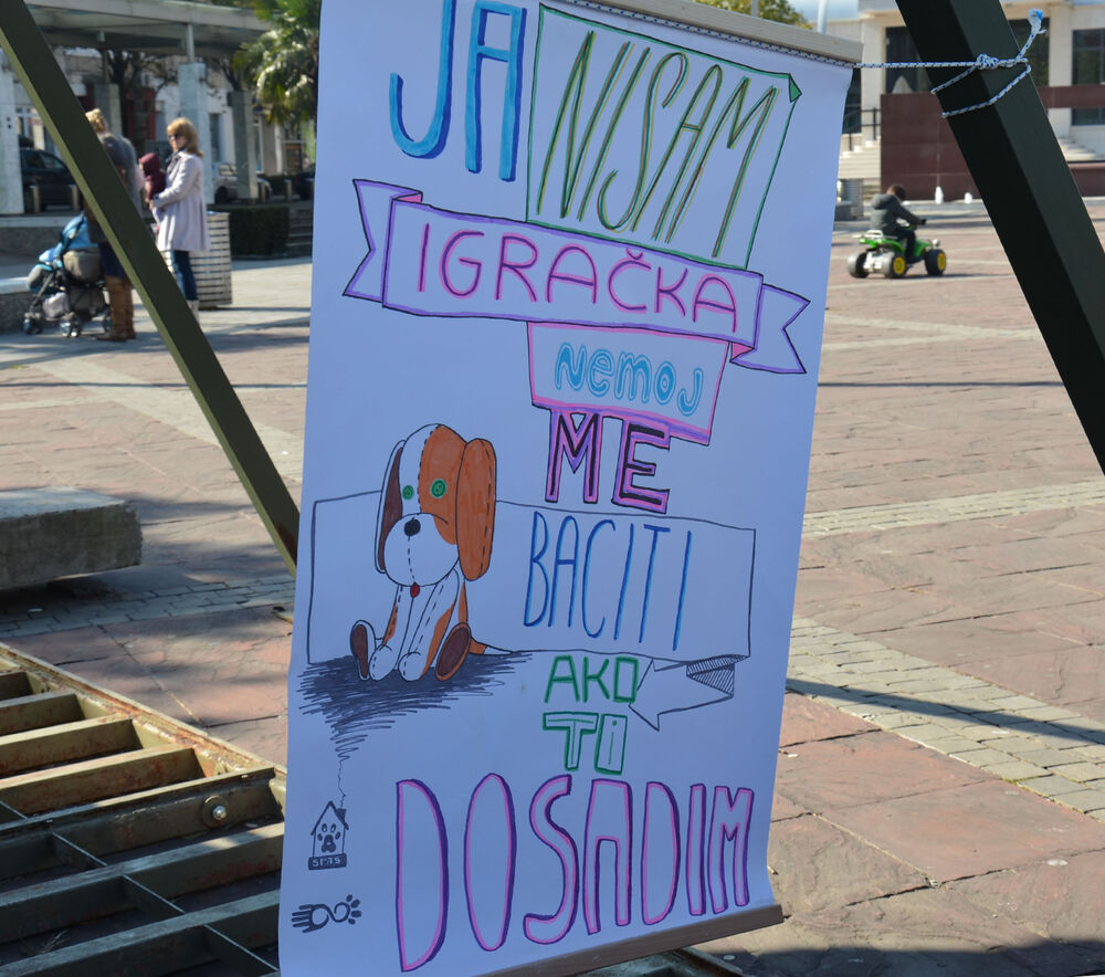 Akcija javnog udomljavanja